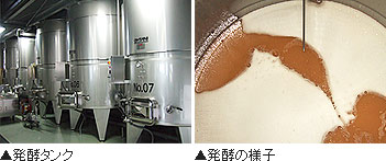 左:敷地内にあるワイン醸造工場と右:タンク内ワイン醸造中
