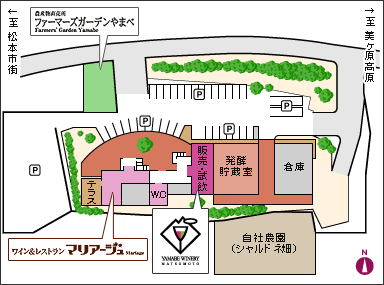 施設案内図