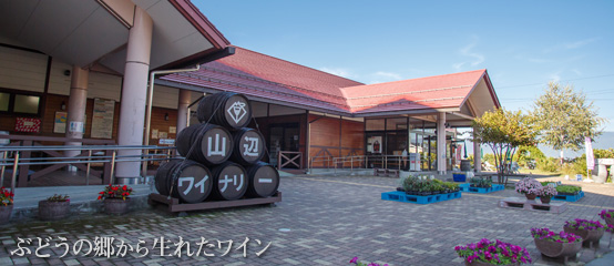 山葡萄[辛口][2017年] [R-096] | 信州山辺ワイナリー｜長野県